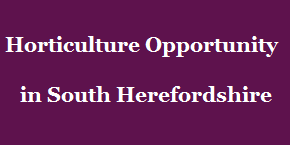 Horticulture Opportunity in South Herefordshire