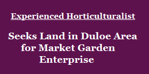 Experienced Horticulturalist Seeks Land in Duloe Area for Market Garden Enterprise