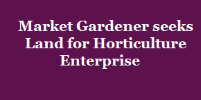 Market Gardener Seeks Land for Horticulture Enterprise