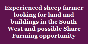 Experienced sheep farmer looking for land and buildings in the South West and possible Share Farming opportunity