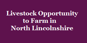 Livestock Opportunity to Farm in North Lincolnshire